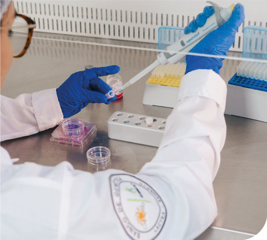 Desafío láctea - biotecnología en producción lechera